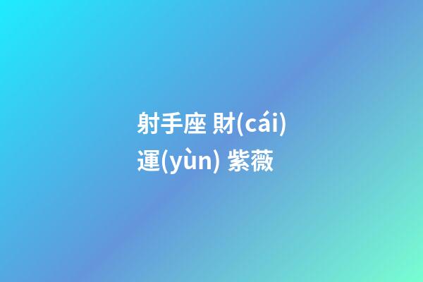 射手座 財(cái)運(yùn) 紫薇-第1張-星座運(yùn)勢(shì)-玄機(jī)派